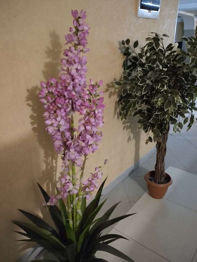 Гостиница Мирабель Анапа-88