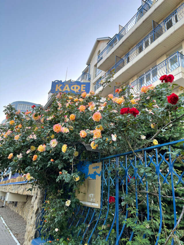 Гостиница Мирабель Анапа-77