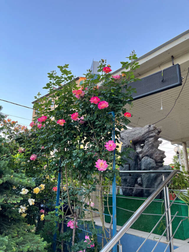 Гостиница Мирабель Анапа-94