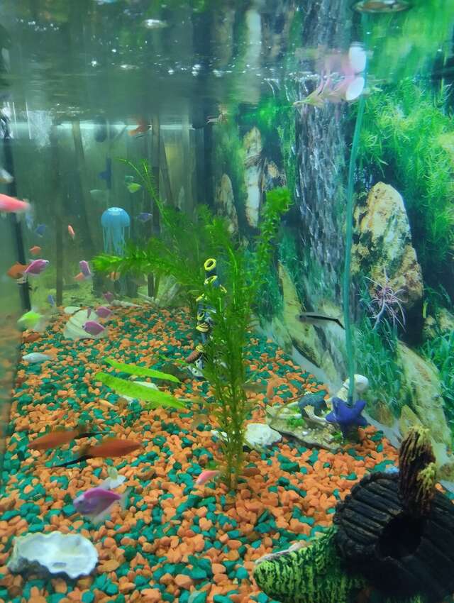 Гостиница Мирабель Анапа-83