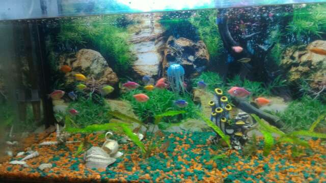 Гостиница Мирабель Анапа-118