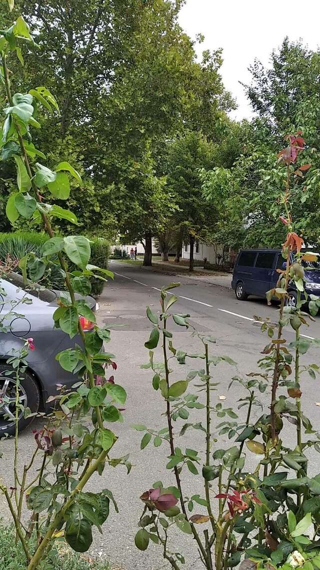 Гостиница Мирабель Анапа-97