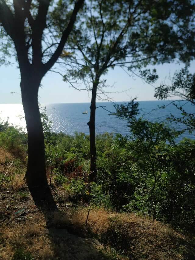 Гостиница Мирабель Анапа-91